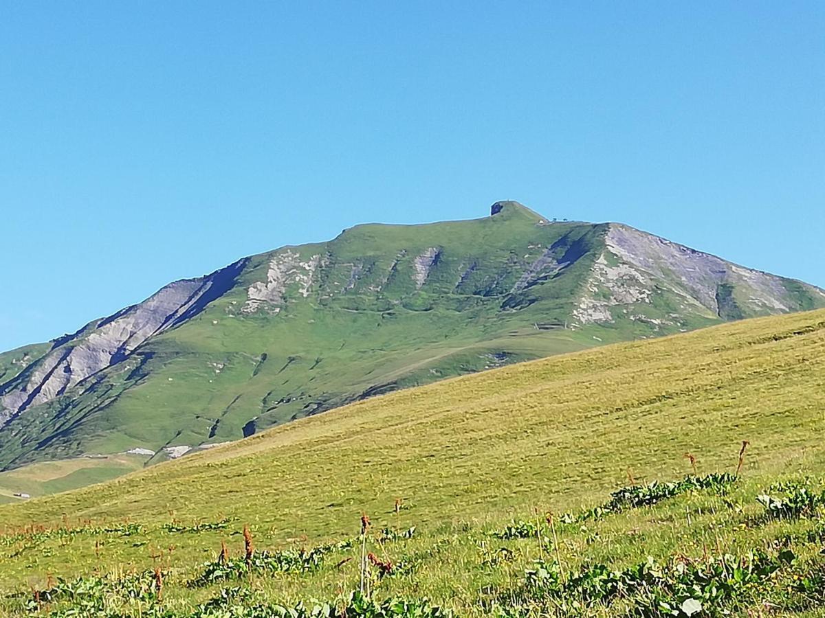 Chambres Et Tables D'Hotes Le Choton A Nono - Col Du Joly Beaufortain 欧特吕斯 外观 照片