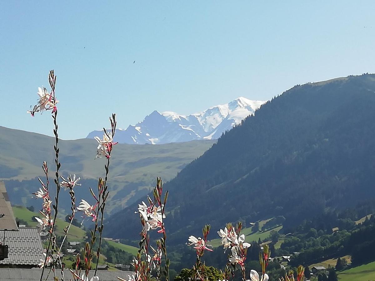Chambres Et Tables D'Hotes Le Choton A Nono - Col Du Joly Beaufortain 欧特吕斯 外观 照片