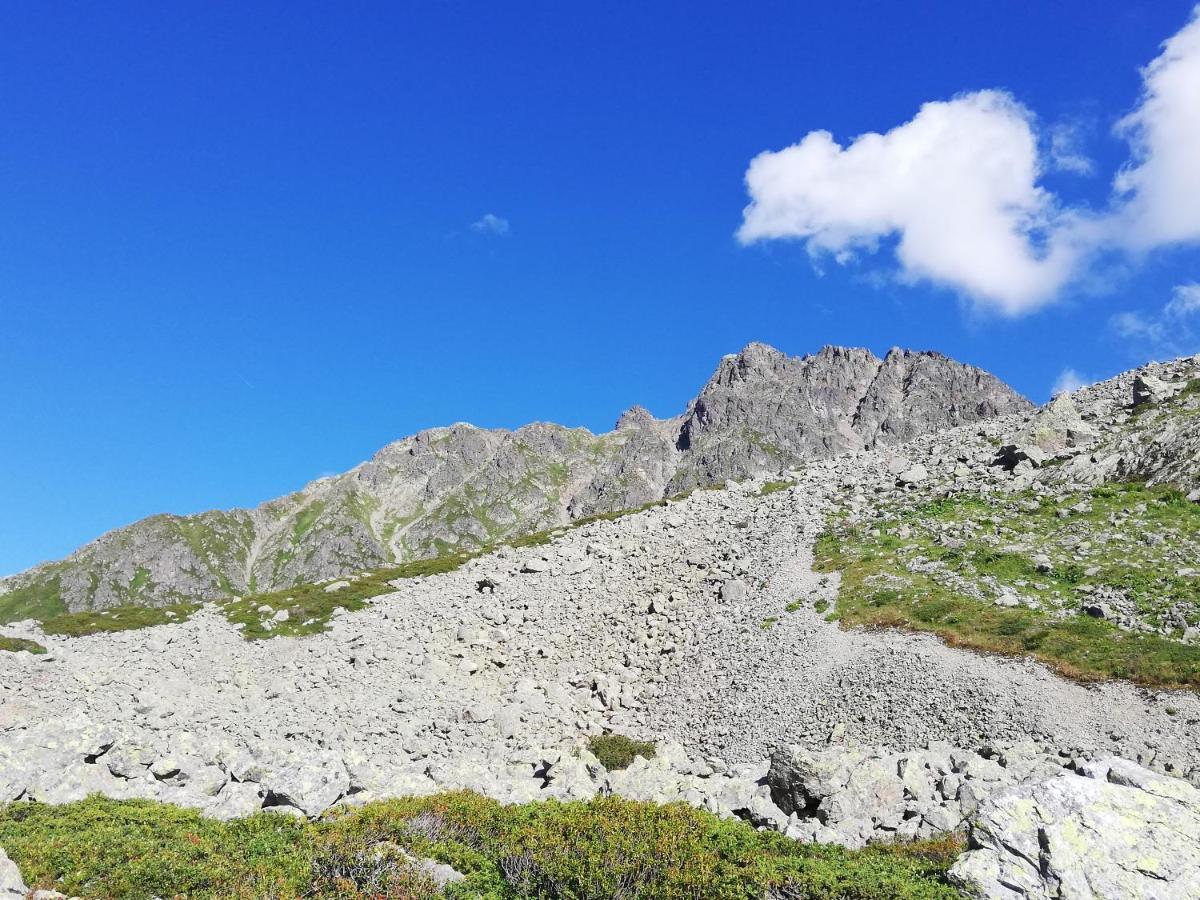 Chambres Et Tables D'Hotes Le Choton A Nono - Col Du Joly Beaufortain 欧特吕斯 外观 照片