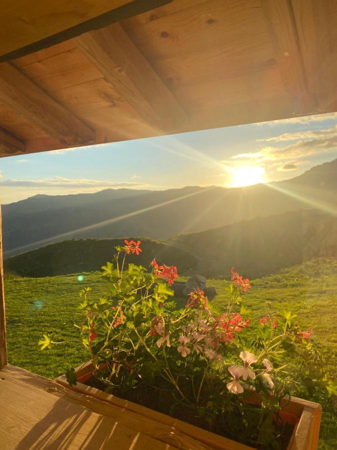 Chambres Et Tables D'Hotes Le Choton A Nono - Col Du Joly Beaufortain 欧特吕斯 外观 照片