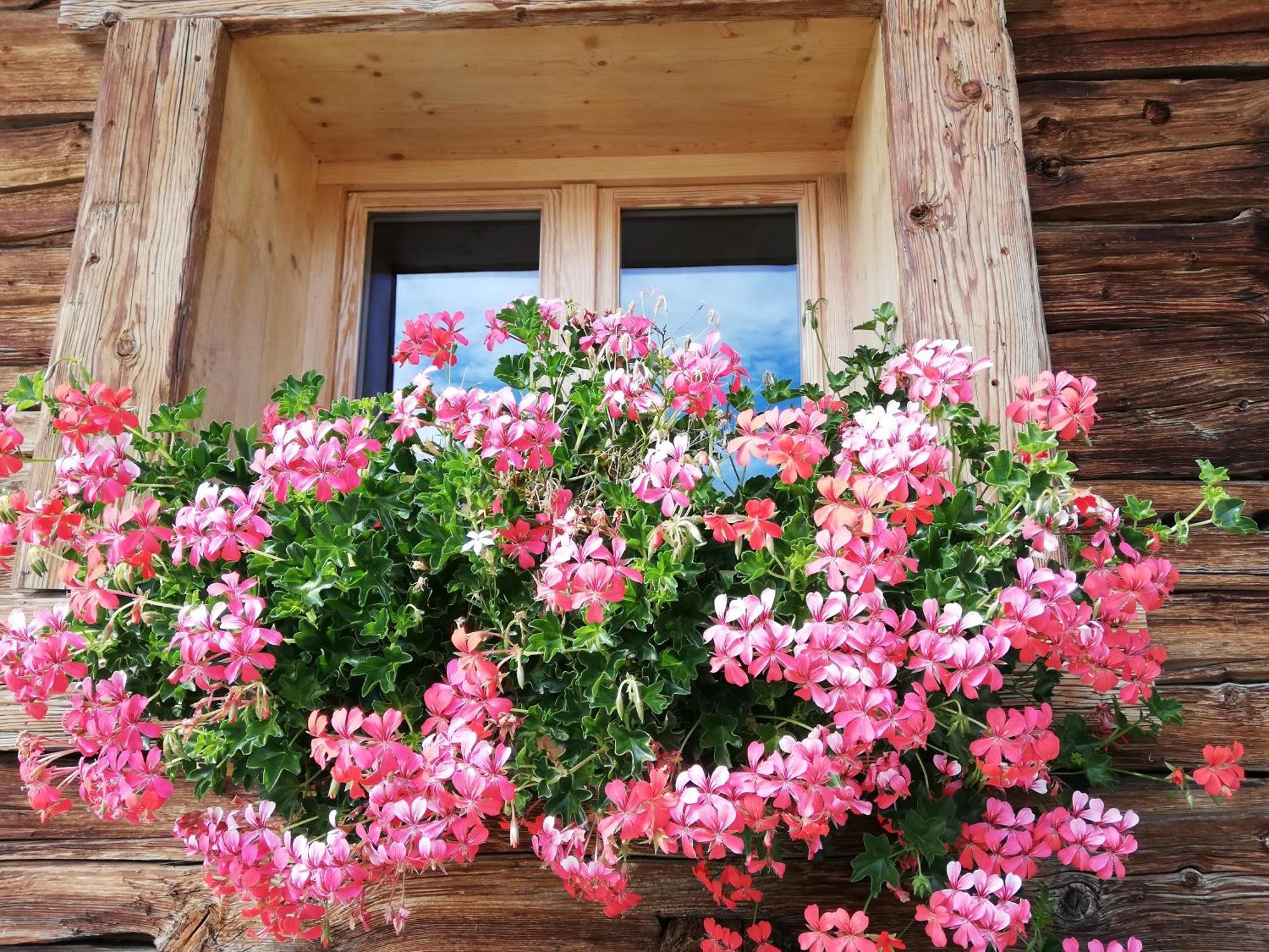 Chambres Et Tables D'Hotes Le Choton A Nono - Col Du Joly Beaufortain 欧特吕斯 外观 照片